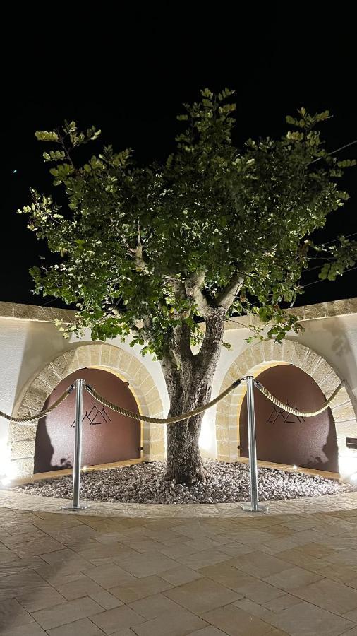Bed and Breakfast Quei Trulli Divini Мартіна-Франка Екстер'єр фото